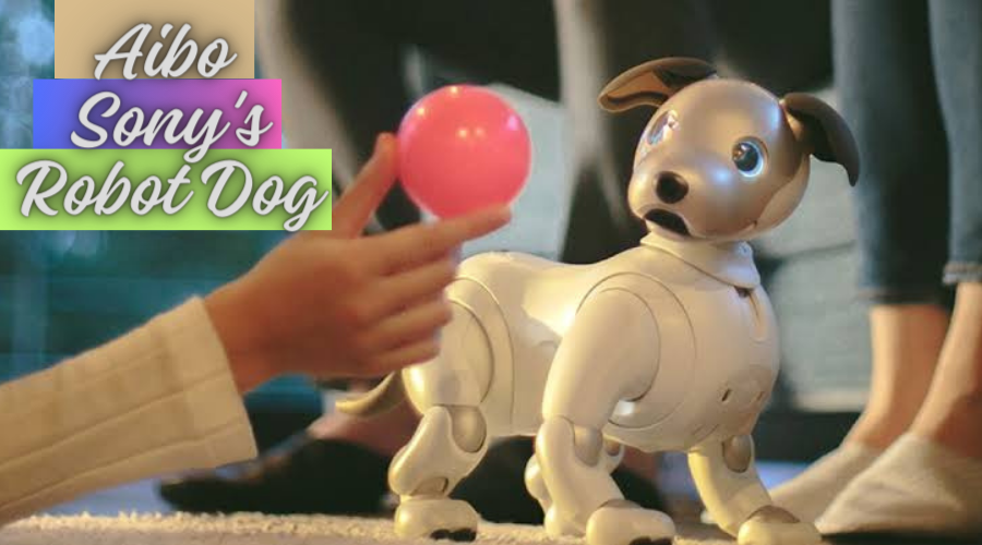  AIBO - Sony's Robot Dog:The Best Robot in 2024