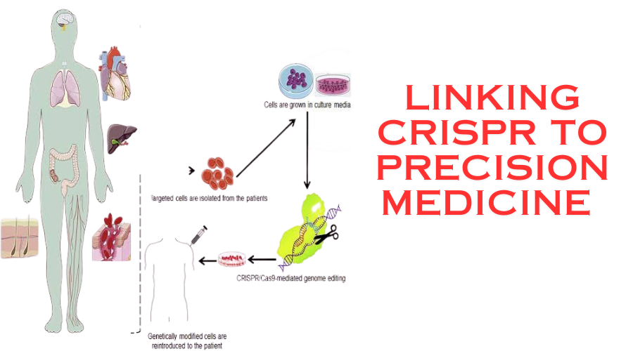 LINKING CRISPR TO PRECISION MEDICINE: