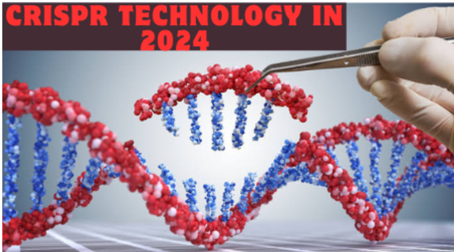 Crispr Technology in 2024: A Revolutionary Breakthrough in Gene EditingCrispr Technology in 2024: