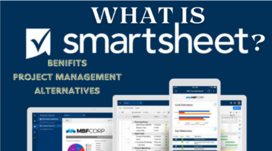 What is SmartSheet?:Unveiling the Benefits of Viable Project Management Alternatives