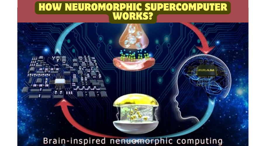 How neuromorphic supercomputer: work?