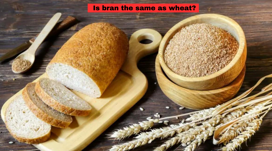 What is bran? Here's why nutrition experts want you to eat more.