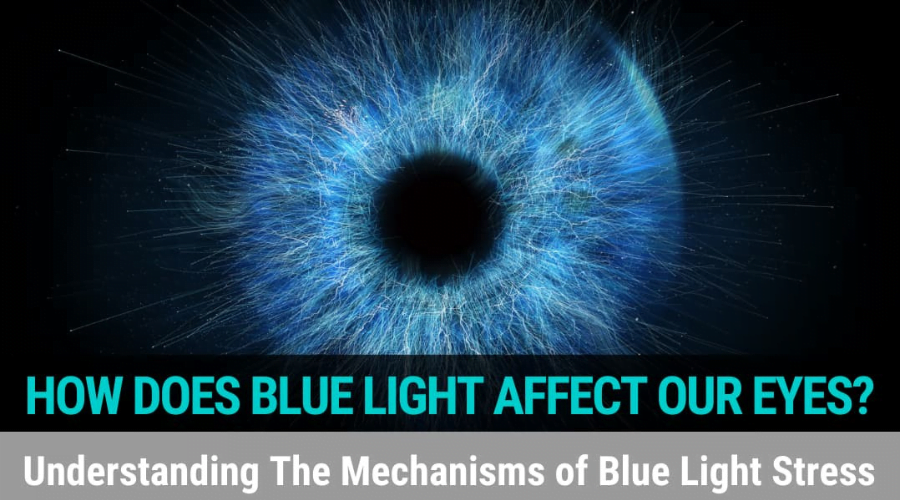The Importance of Blue Light Protection: How to Keep Your Eyes Safe