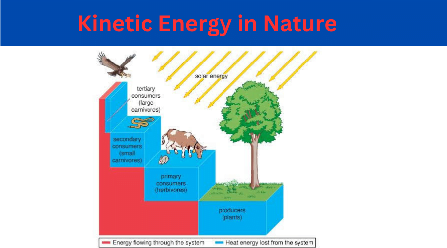 Which of These is Exhibiting Kinetic Energy? In nature, electricity continuously undergoes ameliorations from one form to some other. For instance,