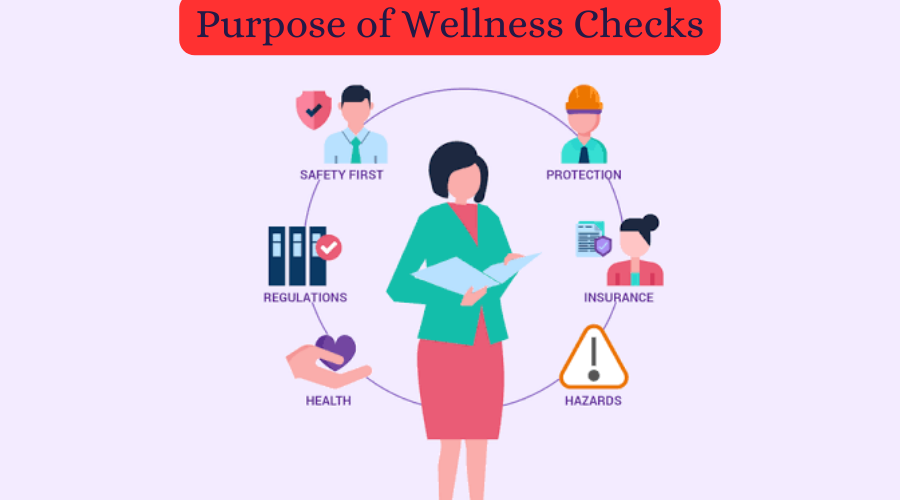 What do police do during a wellness check