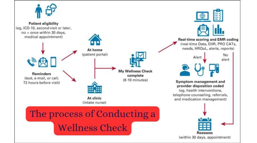 What do police do during a wellness check