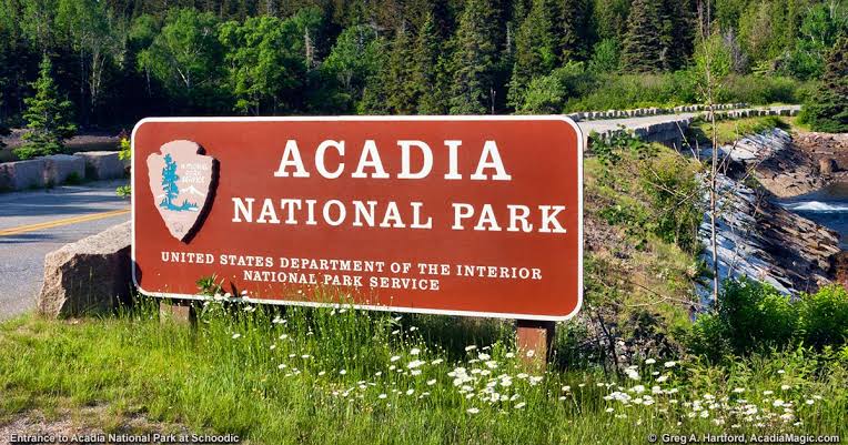 Exploring the Natural Beauty of Acadia National Park