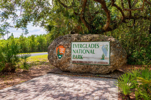 Everglades National Park: Preserving a Unique Ecosystem