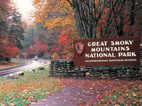 Exploring the Wonders of Great Smoky Mountains National Park